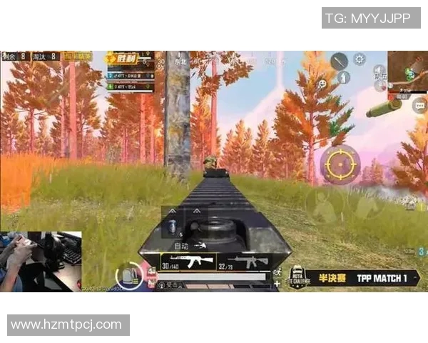 最新和平精英战术TOP10V5领跑攻略助你轻松夺冠提升战斗实力实时新闻